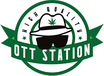 Ott Station
